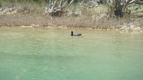 photo 755230