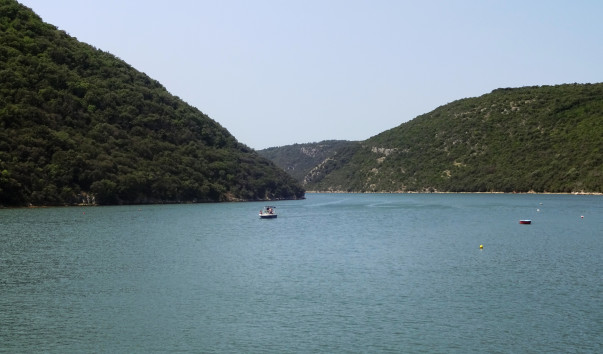 DSC09219