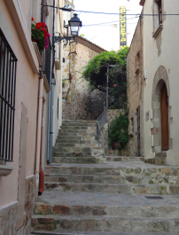 photo 1115323