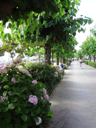 photo 1115324