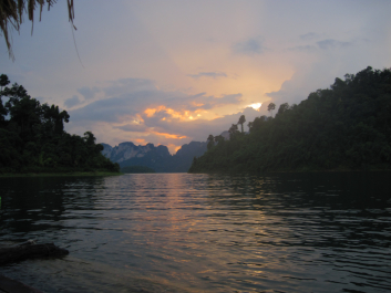 photo 1138564