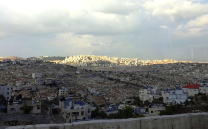 photo 1184267