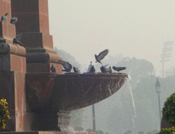 photo 1238241