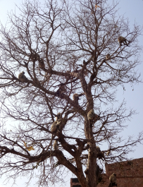 photo 1245901