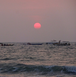 photo 1331564