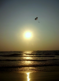 photo 1331577