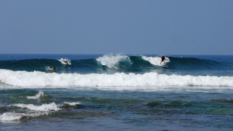 photo 1445720
