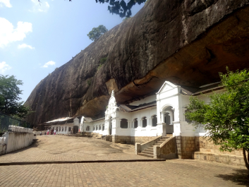 photo 1446377