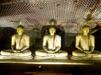 photo 1446389