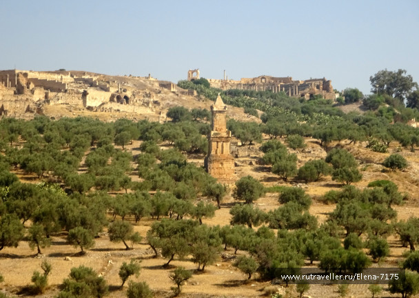 photo 1663633