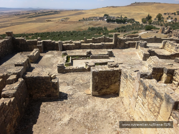 photo 1663664