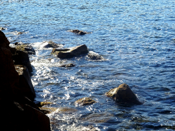 photo 1738124