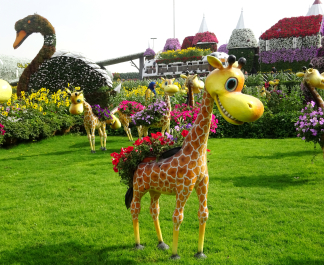 photo 1737417