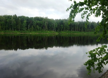 photo 1739586
