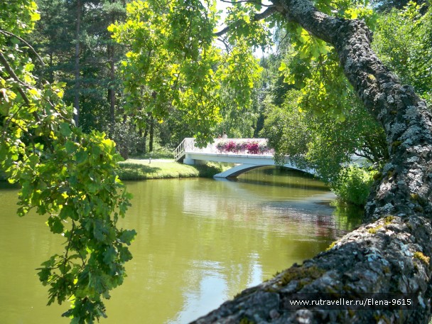 photo 857452