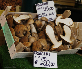 photo 273381
