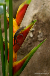 photo 275420