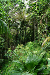 photo 275426
