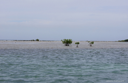 photo 275469