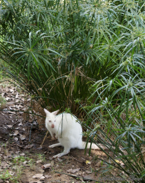 photo 280142