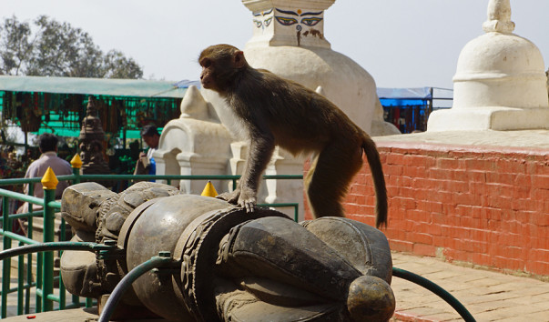 DSC04827-1