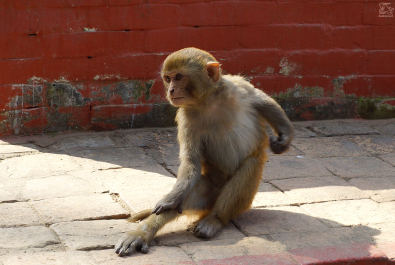 photo 1244922