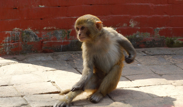 DSC04826-1