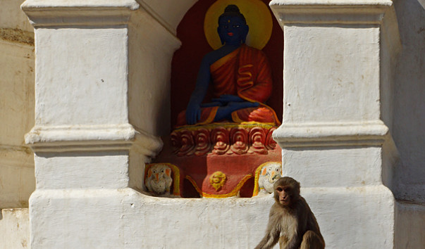DSC04817-1