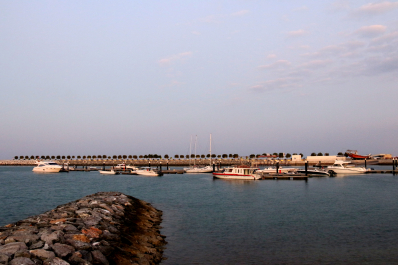 photo 1180788