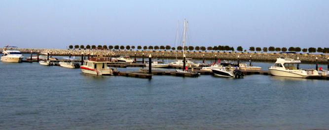 photo 1180790