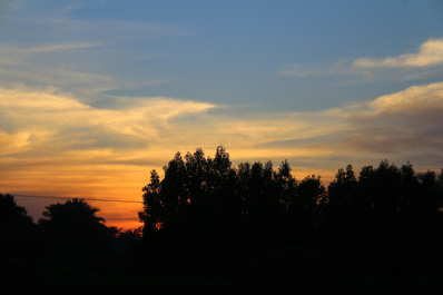 photo 1226885