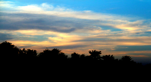 photo 1226888