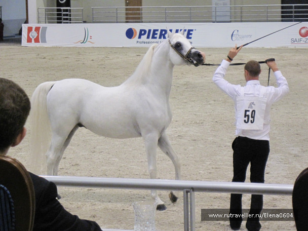 photo 314565