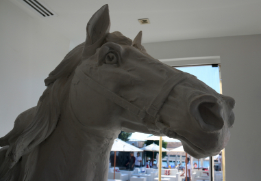 photo 648833