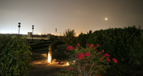 photo 497655