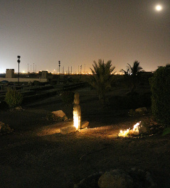 photo 517616