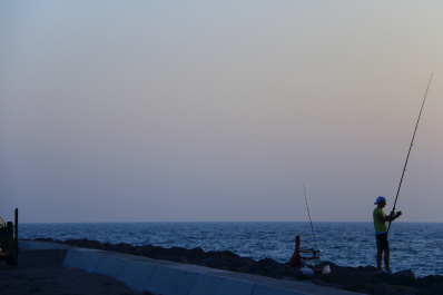photo 401283