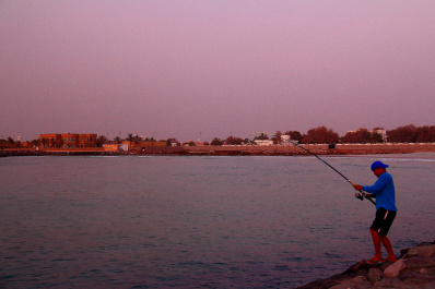photo 412441