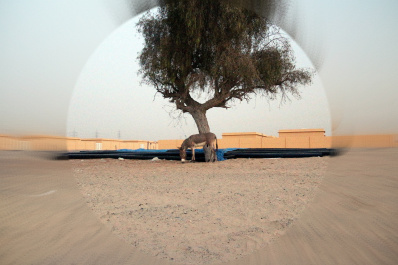photo 422989