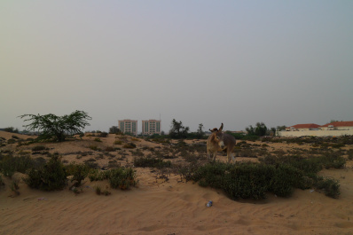 photo 430665