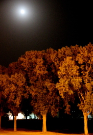 photo 579422