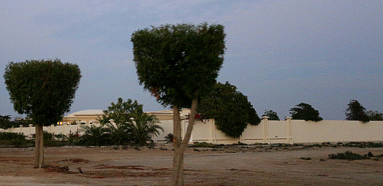 photo 664509