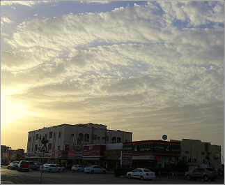 photo 705759