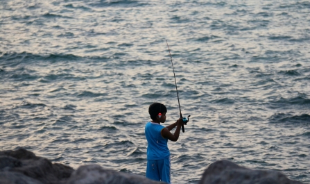 photo 758712