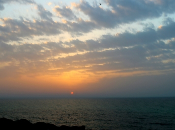 photo 780937