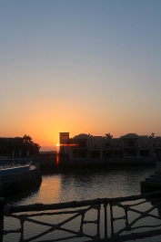 photo 566012