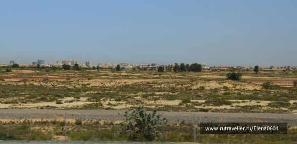 photo 791273
