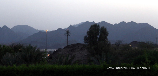 photo 1055488