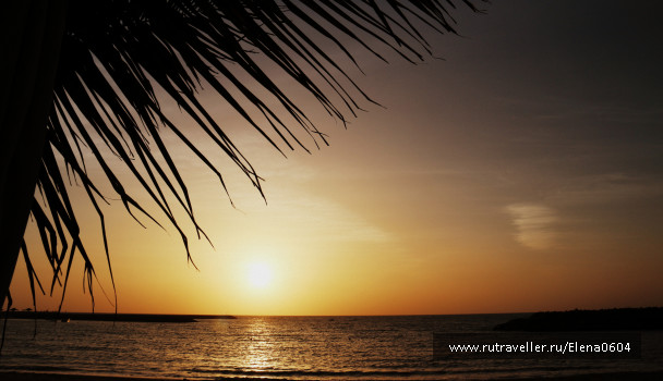 photo 1057795