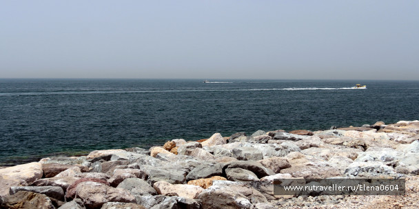 photo 1130724